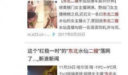东北主播二嫂在线观看,在线观看热潮席卷全网